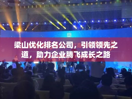 梁山优化排名公司，引领领先之道，助力企业腾飞成长之路