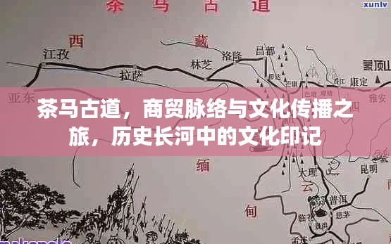 内训核心 第10页