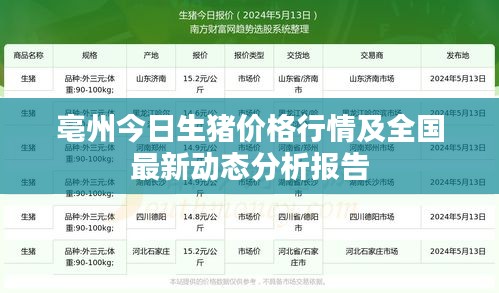 2025年6月 第6页